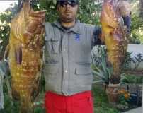 τα πρώτα ψαρια του 2012